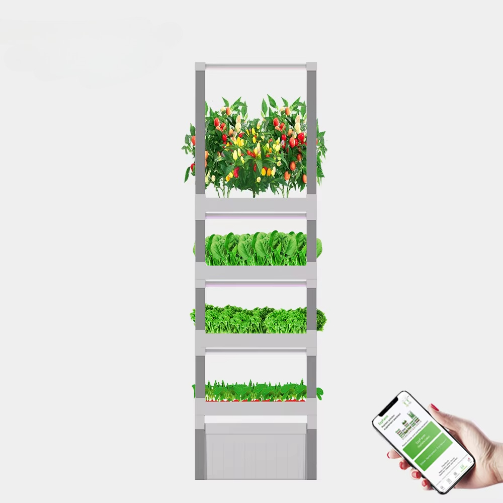 System hydroponiczny do uprawy – Home Automation Systems Diy recenzja i cena